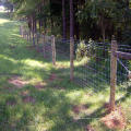 Galvanizada prevenir a cerca do campo da fazenda